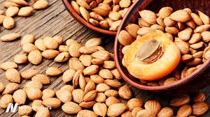 Bitter Apricot Kernels